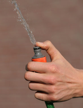 garden hose spraying water