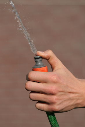garden hose spraying water