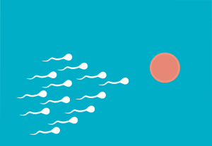 sperm volume heading towards an egg